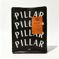 Sacs d'emballage pour grains de café torréfiés, personnalisés, imprimés, 340g 500g, noir mat, estampage à chaud, fond plat, 250g 12oz avec valve et fermeture éclair