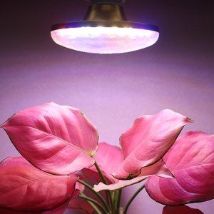 10 Wát E26/<span class=keywords><strong>E27</strong></span> <span class=keywords><strong>LED</strong></span> phát triển bóng đèn, quang phổ đầy đủ ánh sáng nhà máy Bóng đèn cho các nhà máy trong nhà - Product Image 2