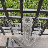 Grillage hexagonal sur mesure à petit maillage, prix usine, pour poulaillers et cages à animaux