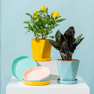 Pots de fleurs et plantes en gros, décoration de la maison et du jardin, pots de fleurs en plastique de taille moyenne - Product Image 4