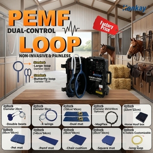 Nuevo equipo de fisioterapia Pemf Magneto Therapy Device Horse Pemf Loop Pemf Pain Relief Dispositivo de terapia magnética - Product Image 1
