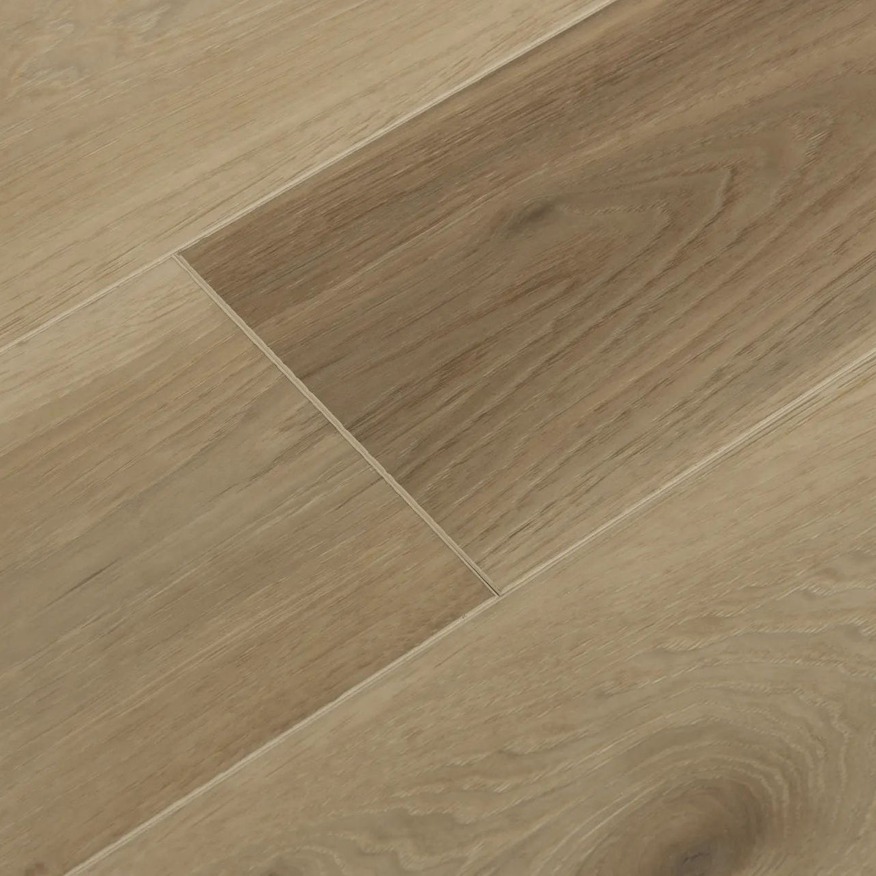 สีดำสีกากี