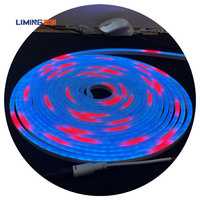 Panneau d'affichage Adv Décoration Programmation Couleur Magic IC Découpable 6MM 8MM DC12V Silicone RGB Neon Lights Led