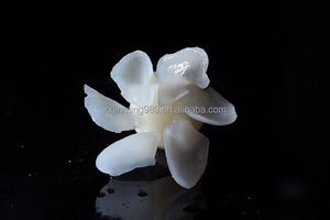 Horno de Fundición de Lingotes de Litio para Laboratorio Dental OP6010A Plus, Suministro Directo de Fábrica - Product Image 3