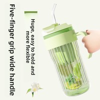 Bouteille en verre à double paroi personnalisée de 550ml-Qualité alimentaire avec couvercle en paille | Tasse à thé/café avec infuseur de fruits, incassable, gravure en vrac