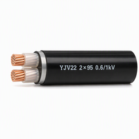 Câble d'alimentation blindé en cuivre XLPE YJV22 2*95mm² 2*120mm² 0,6/1kV avec gaine en PVC blindée à bande d'acier pour connexion de transformateur
