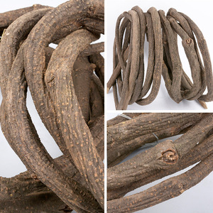 เถาวัลย์ตกแต่งซินเล่ย์ 5 เมตร หนาแน่น สไตล์ธรรมชาติ สำหรับตกแต่งสวน - Product Image 4