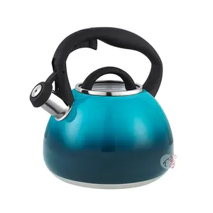 Realwin Home Water Boiling Color Coating Outside Whistle Pot Kettle With Stainless Steel Material