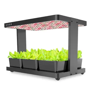 Hot Selling Soilless Cultivation Hydroponic Indoor Vertical Garden System With Full Spectrum LED Light