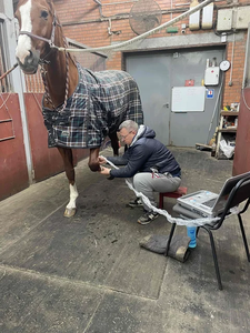 Ecografia Farb <span class=keywords><strong>doppler</strong></span> SUN-906B Tierarzt Ultraschall Tragbare Instrumente Tiere Ultraschall gerät - Product Image 2