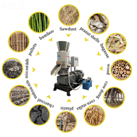 Petit équipement de production de granulés de bois à partir de sciure de bois, de paille de riz, de biomasse, de fumier de vache