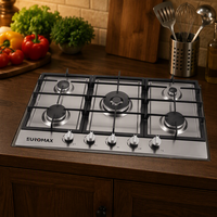 Fournisseur de cuisinières à gaz 5 brûleurs en acier inoxydable, plaque de cuisson de cuisine, prix d'usine, vente en gros