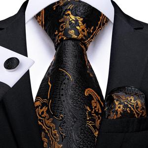 Ensemble de cravates pour hommes importées en soie unie et à motif Paisley, avec pochette de costume et boutons de manchette, cravates formelles à séchage rapide, cadeau pour mariage et fête - Product Image 5