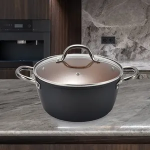 Kitchen Copper Non Stick Coating Casserole Set Cooking Pots Insulated Glass Lid