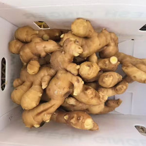 Racine de gingembre jeune et fraîche de haute qualité, certifiée GAP, marque Heli, directement de la ferme du Shandong, 10 kg, pour la cuisine - Product Image 1