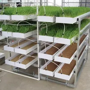 High output hot sell UPVC hydroponics fodder microgreen gutter growing system for sheep cow agriculture