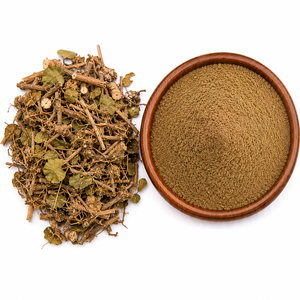 High Purity Boerhavia Diffusa Punarnava Powder Natural Botanical Ingredient for Food Industry <b>Raw</b> Material and Plant Based Use - Product Image 1