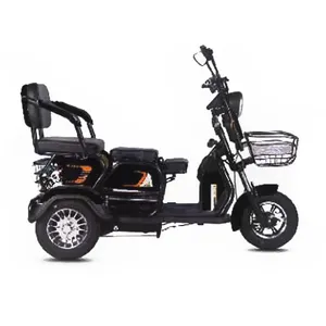 Hot Sale Electric Bicycle Tricycle Cargo Electric Bike For Adults Passenger In Cheap Price