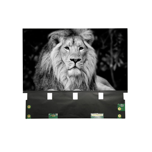 10.1 Inch 4920*2880 5K EDP 40Pin 3D Printer <strong>LCD</strong> MONO <strong>LCD</strong> <strong>Screen</strong> With <strong>LCD</strong> Driver Board - Product Image 1