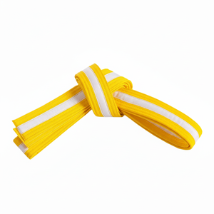 เข็มขัดศิลปะการต่อสู้จากซัพพลายเออร์ปากีสถาน ขายดีที่สุด คุณภาพเยี่ยม ลายทอแบบมุก เข็มขัดบราซิลเลียนยิวยิตสู เข็มขัดคาราเต้ - Product Image 1