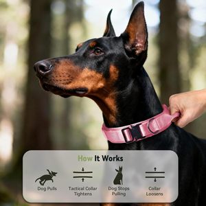 New Design Soft Neoprene Padded Metal Buckle Personalized Collar Tactical <b>Dog</b> Collar for <b>Dogs</b> Training - Product Image 4