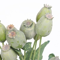 Groothandel 4 Vorken Natuurlijk Schuim Bessenbloem Tak Kunstmatige Papaver Fruit Voor Thuis Tafel Bruiloft Feest Decoratie