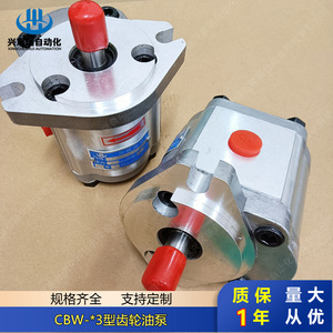 Bomba de aceite para engranajes Cbw F316 Alp, instalación de brida de 1 etapa, eje vertical, accionamiento eléctrico - Product Image 4