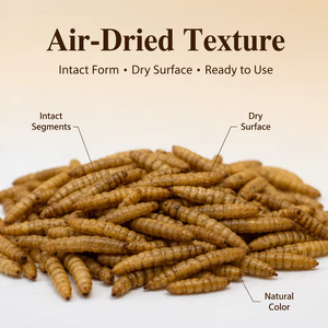 Larvas de Mosca Soldado Negra con Alto Contenido de Proteínas para Alimento de Pollos y Mascotas - Product Image 2