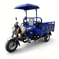 Moteur à essence chinois avec moteur thermique 150cc/200cc, capacité de charge de 500 kg, pour marchandises et passagers