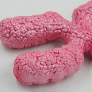 Modelo del cromosoma X para experimentos de biología en secundaria, material didáctico, organelos médicos, estructura submicroscópica - Product Image 3