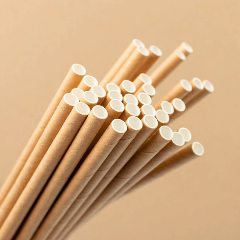 Biodegradable Disposable 6-12cm Different Size Paper Straw for Party OEM ODM Paper Drinking Straws