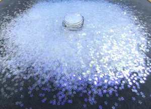 Holographic óng ánh năm cánh sao sequin Glitter Flakes - Product Image 2