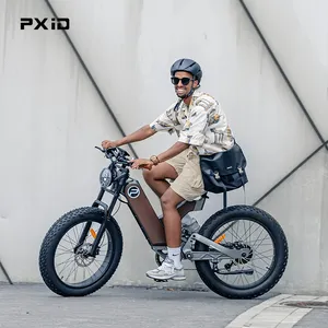 PXID ANTELOPE P5 Fast E Bikes 750w 1000w 48v Ebike All Terrain Mountain Bikes From China