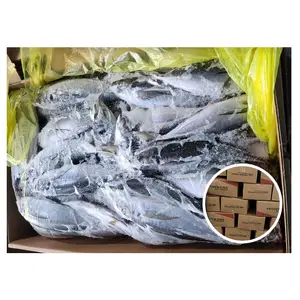 Hot Selling Size Korea Origin Factory Wholesale 20cm+ Carton Trachurus Japonicus Frozen Horse Mackerel