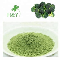 Extrait de brocoli de qualité alimentaire 3% en poudre