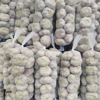 Ail Frais en Gros, Sacs de 10 kg et 20 kg, Ail Chinois, Taille 5.0 cm, Ail Rouge/Blanc