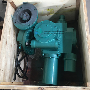 טורבינת מים אנכית תלת פאזית AC של FORSTER <span class=keywords><strong>HYDRO</strong></span> דגם ForsterGLT03-35, 50 קילוואט, גנרטור הידרו לתחנת כוח הידרואלקטרית בעלת גובה נפילת מים נמוך, יעילות 85%, 50/60 הרץ. - Product Image 5