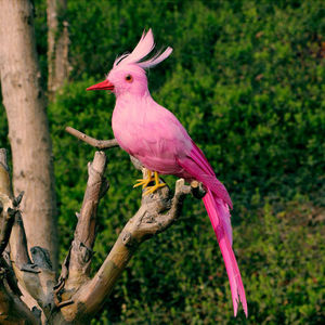Plumas de imitación de pájaros raros, adornos hechos a mano, adorno decorativo de pájaro carpintero - Product Image 5