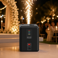 Mini machine à étincelles froides 350W, machine à effet de fontaine d'étincelles froides, 2 jets d'étincelles de 3M pour mariage, fête, scène, tension 110-240V