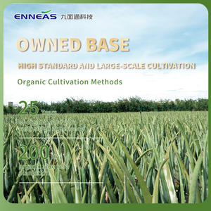 ENNEAS芦荟提取物有机芦荟凝胶果汁高Acemannan Aloin无化妆品食品原料 - Product Image 3