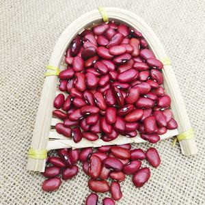 Fagioli rossi secchi all'ingrosso di buona qualità per l'esportazione - Product Image 4