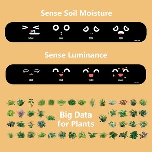 Jardinière Intelligente pour Animaux de Compagnie <span class=keywords><strong>Robert</strong></span> avec Surveillance des Plantes en Temps Réel pour une Utilisation en Intérieur <span class=keywords><strong>et</strong></span> sur Balcon - Product Image 2