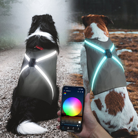 Nouveauté : Gilet LED réfléchissant moderne et écologique pour chien, contrôlé par application, en polyester, pour l'été