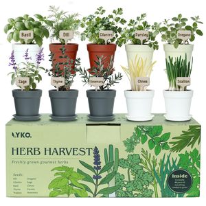 Kit <span class=keywords><strong>de</strong></span> jardinage d'intérieur pour herbes aromatiques, ensemble complet <span class=keywords><strong>de</strong></span> 33 pièces pour la cuisine, pots 4 couleurs, outils et terreau – <span class=keywords><strong>Cadeau</strong></span> d'anniversaire ou <span class=keywords><strong>de</strong></span> Noël pour femmes et mamans - Product Image 1