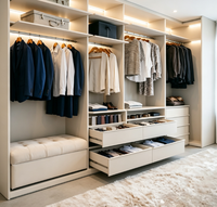 Système de dressing ouvert moderne sur mesure avec armoire intégrée et éclairage LED pour dressing