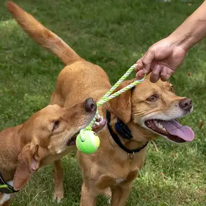 China Pet Training Toy liefert umwelt freundliche kunden spezifische Spiel runde Hund Tennisball mit Baumwoll seil