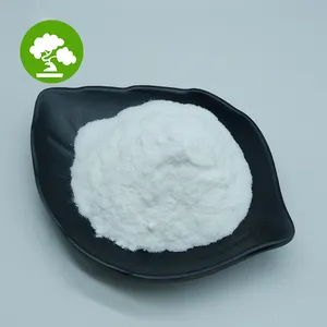 Bulk L glutammina commestibile 98.5%-101.50% polvere commestibile L-glutammina