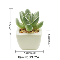 Plantes succulentes artificielles dans de petits pots en plastique blanc, plantes de bureau écologiques pour la décoration de la maison, de la salle de bain et des petits espaces
