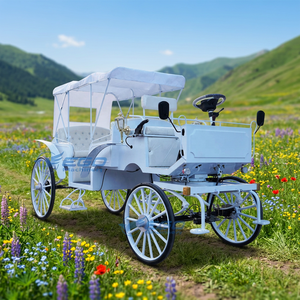 Carruaje Turístico Eléctrico Blanco de Lujo, Transporte Especial para Visitas Turísticas, Carruaje Victoria, Carruaje Turístico - Product Image 1