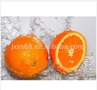 Oranges fraîches biologiques Meilleur prix Vente en gros Huile d'orange douce en stock Agrumes frais